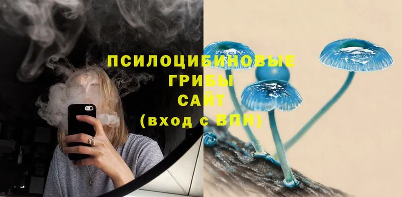 Псилоцибиновые грибы GOLDEN TEACHER  Курган 